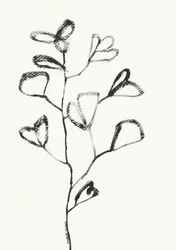 Desenho orgânico de folha