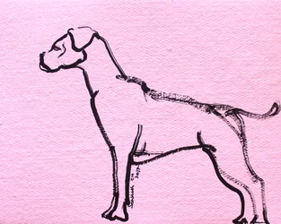 Arte linear de boxer cor-de-rosa