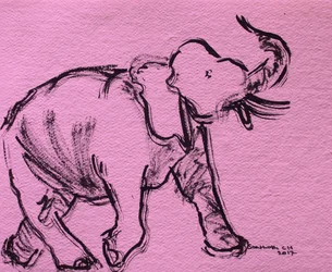 Esboço de elefante cor-de-rosa