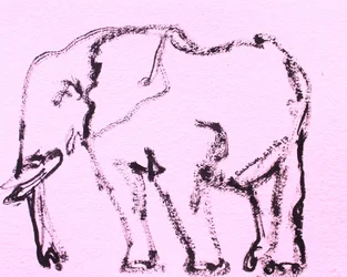 Esboço de um elefante cor-de-rosa