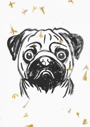 Cão pug com pétalas a cair