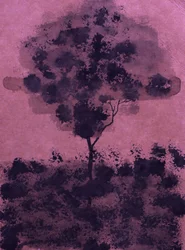 Árvore de tinta roxa