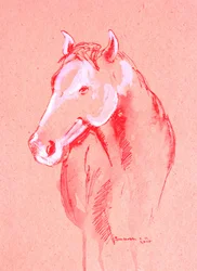 Esboço de cavalo vermelho