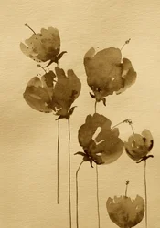 Flores em aguarela sépia