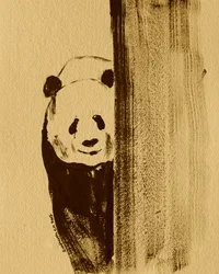 Panda tímido a espreitar