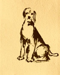 Cão sentado a tinta