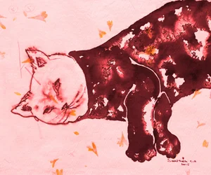 Gato Vermelho a Dormir