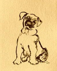 Esboço de um cachorro adorável