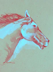 Cabeça de cavalo vibrante