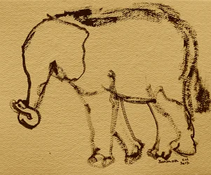 Esboço de um elefante a caminhar