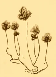 Flores caprichosas em forma de pés