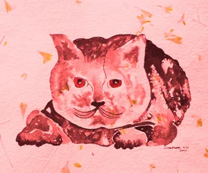 Gato Rosa Caprichoso