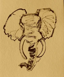 Esboço de um elefante selvagem