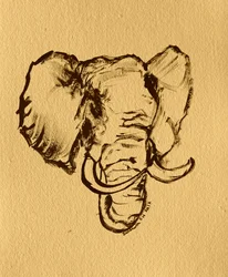 Esboço de elefante selvagem