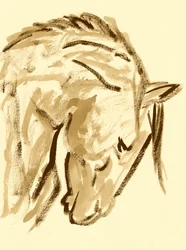 Esboço de cavalo selvagem