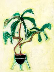 Planta em vaso moderna