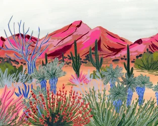 Vista colorida do deserto