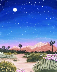 Noite Estrelada no Deserto