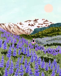 Campo de Flores da Montanha Sereno