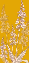 Orquídea Aranha, 2017