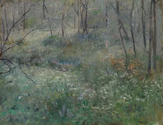 Salsa Selvagem, 1900.