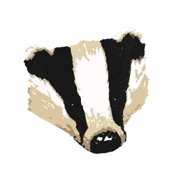 Badger,2018,(desenho digital)