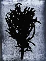 Feto preto 2020 (monoprint)