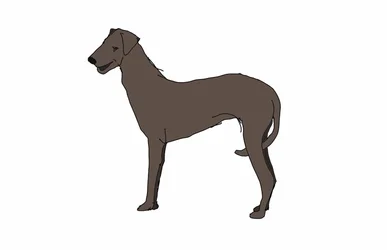 Hound,2018,(desenho digital)