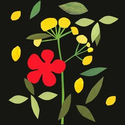 pétalas e folhas,2019 (colagem)