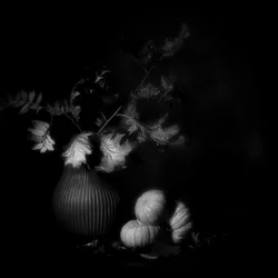 Natureza-morta outonal escura