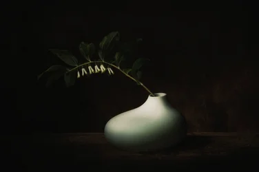 Delicada natureza-morta escura com flores
