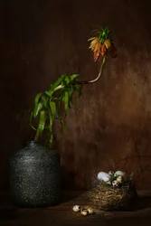 Ninho floral melancólico