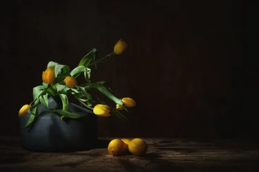 Natureza-morta evocativa com tulipas amarelas