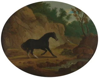 Um cavalo assustado por uma cobra