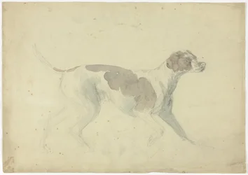 Cão de caça (frente); esboços de cavalo e cavaleiro (verso)