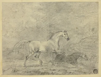 Cavalos