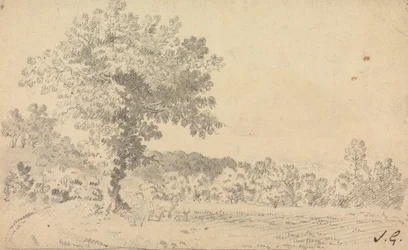 Paisagem com Veado