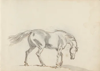 Desenho de caderno de esboços