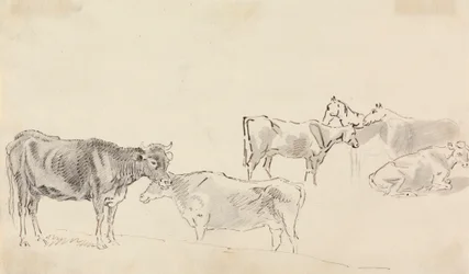 Estudo do gado com cavalos como pano de fundo