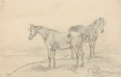 Dois Cavalos