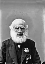 O retrato de um homem idoso