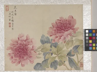 Álbum de 8 folhas de flores, meados de 1700 (tinta e cor sobre papel)
