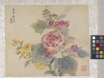 Álbum de 8 folhas de flores, meados de 1700 (tinta e cor sobre papel)