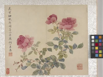 Álbum de 8 folhas de flores, meados de 1700 (tinta e cor sobre papel)