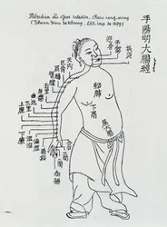 Acupunctura chinesa: o intestino grosso