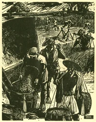 Cooperativa de soldados e civis de Sung Ping-heng, soldados e camponeses a trabalhar em conjunto para recuperar o trigo. Gravura em madeira, em "Woodcuts of war-time China 1937-1945", Xangai