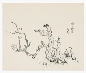 Série Dez Bambus