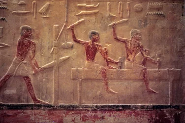 Egipto antigo, Escultura/pintura mural, Mastaba/Túmulo de Ti, Saqqara, 5.ª Dinastia, Carpinteiros serrando e martelando, Viga de moldagem (foto)