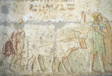 Antigo Egipto, Entalhe/pintura mural, Túmulo de Petosiris, Tuna el Gebel, 300 a.C., Lavoura e sementeira (foto)