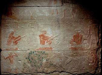 Antigo Egipto: relevo calcário representando escribas da Capela de Mastaba em Akhethetep, por volta de 2300 AC. 5ª dinastia. Antigo império. De Saqqara (Sakkara). Paris, Museu do Louvre.